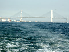 船底塗料・機関部品・ロープをはじめ、乗組員の方の生活用品まで、海上で必要なさまざまな船用品を販売しております。